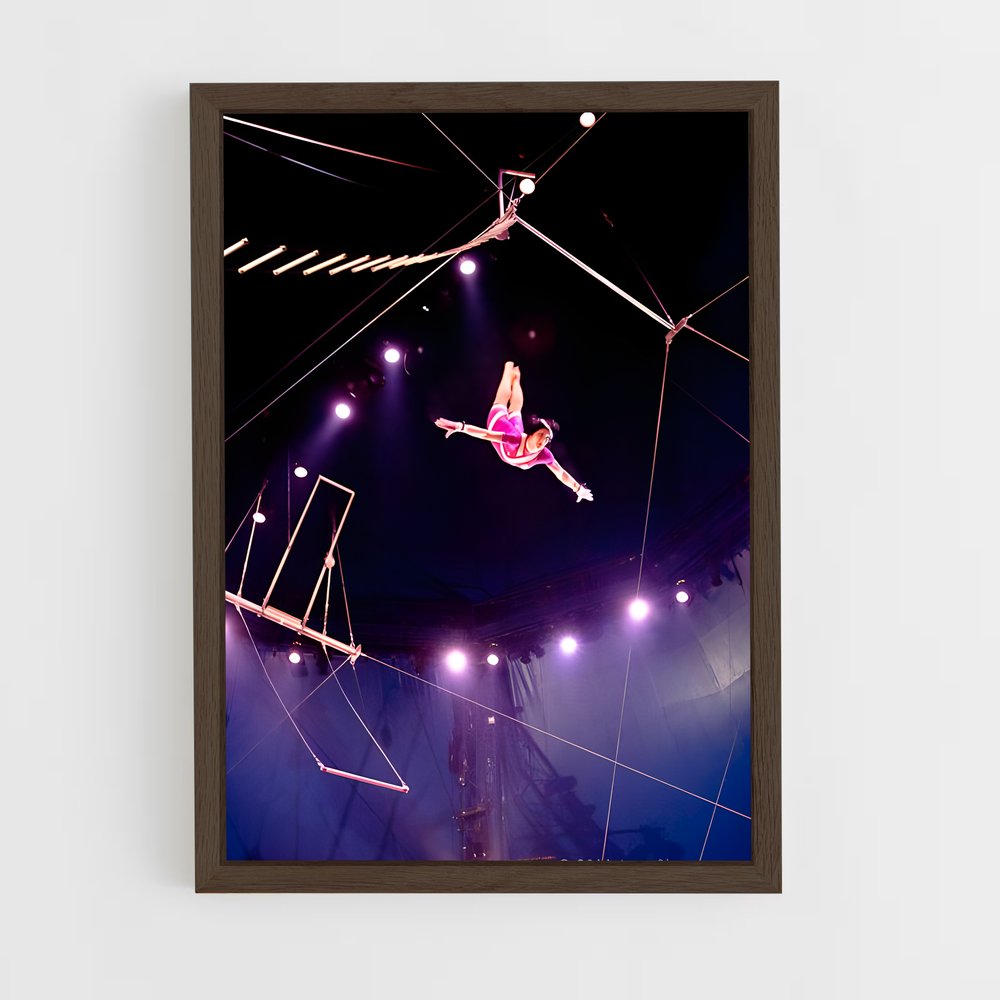 Poster L'Art de l'Acrobatie – affiche Cirque (vue 5)